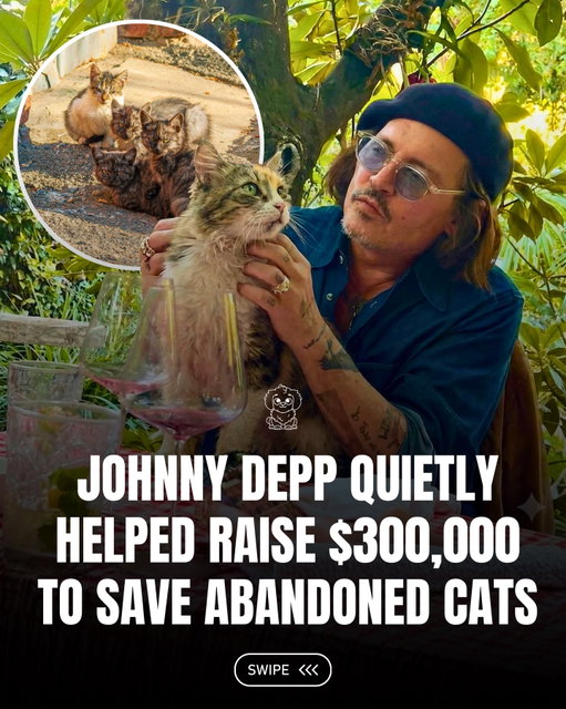 @Fluffy posts the best pet content on Instagram daily 🐾

Johnny Depp quietly joined a private charity concert in London that raised around $300,000 for Celia Hammond’s Animal Trust, a rescue organization that has spent nearly 40 years caring for abandoned, sick, and injured cats. With no media attention or fanfare, the evening focused on helping vulnerable animals, especially cats whose owners can’t afford veterinary care.

Rod Stewart also performed, making the night even more special. Every dollar raised will go toward medical treatment, shelter, and long-term care, proving that sometimes the most meaningful kindness happens without the spotlight. 😻🐾

#fluffy #pets #cat