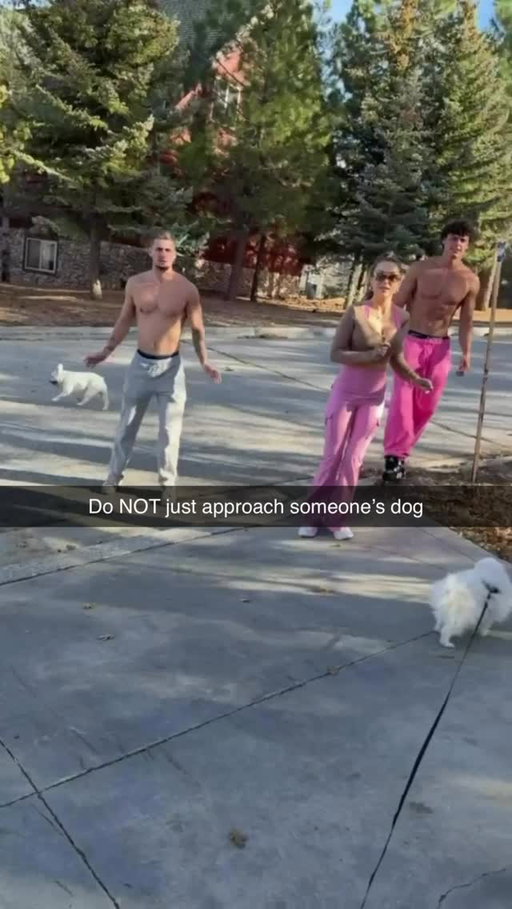 Why would you approach someone’s dog 😤😤