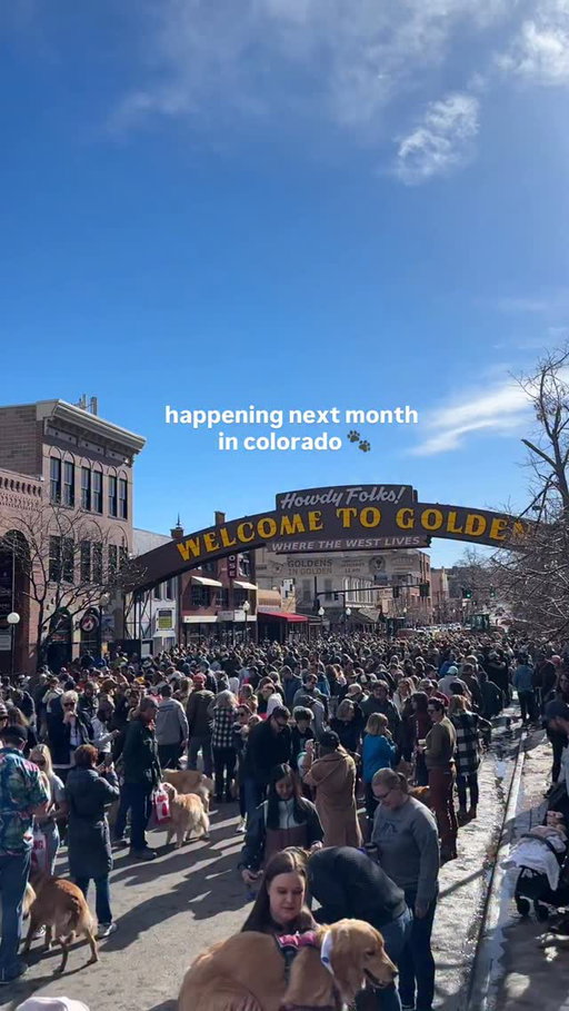 Who’s going? 🙋🏻‍♀️ the best dog fest is back! 💛🦮 goldens in golden is saturday, feb 7th @ 9am-1pm (+ free!) on the main streets of @visitgoldenco. 

They have LOTS of new updates to the event that I’ll share in a “know before you go” part 2!

#colorado #denver #dogfriendly
