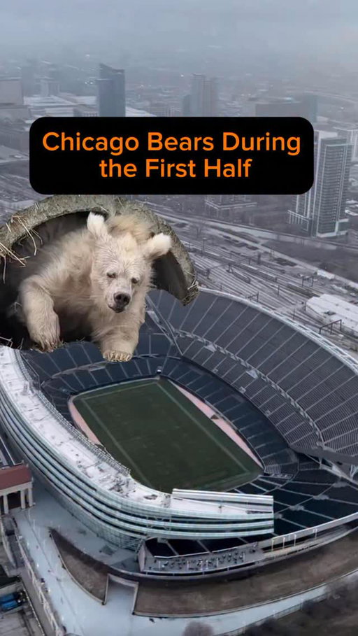 First half: Bears.
Second half: BEARS.
Cardiac Bears for a reason 🫀🐻

#beardown #DaBears #ChicagoBears #NFLReels #bearsvsrams