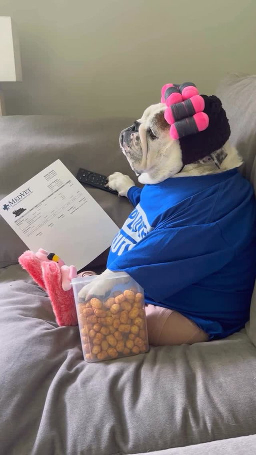 Leave me alone Susan...my stories are on....📺
