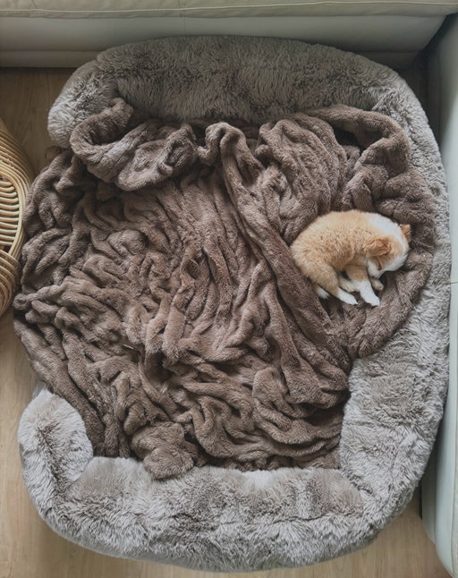What do you think- did I order the wrong size dog bed??🤷‍♀️😂

all I know is @lolablankets softness is a drug! 

#puppylove #dogbed #miniaussiepuppy #family