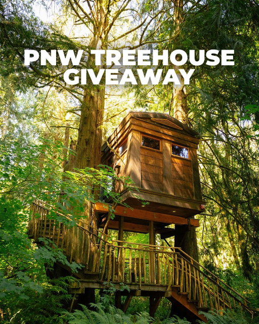 🌲PNW Treehouse Giveaway!🌲 

Giveaway Closed: congratulations to @alpine_explorer 

Win a 2 Night Stay at your choice of two treehouses from @treehousepoint in Washington! Explore the mountains and forests of the PNW by day then kick your feet up and relax at a cozy treehouse at night! You’ll also get hooked up with some gifts and experiences from some amazing local partners. Enter Below and Enjoy your stay! 
___________________________________

To Enter:

1) Like + Save the Post 
2) Follow @treehousepoint @obertobeefjerky @kenmoreair @fremontbrewing & @tombihn
3) Tag unlimited friends in separate comments. 1 Comment = 1 Entry
BONUS) Share this Post to your Story and tag us! 
___________________________________

Prizes: 

⭐@treehousepoint 2 Night Stay At Your Choice of Bonbibi or Nest Treehouses 
 ⭐️@obertobeefjerky $150 Gift Card 
⭐️@kenmoreair Seattle Scenic Flight For 2
⭐️@fremontbrewing 2 NA Variety Packs + Fremont Swag Bag
⭐️@tombihn $200 Gift Card 
__________________________________

*Winner announced January 21st! 

Giveaway open to U.S. residents only, ages 18+. Transportation to and from Treehouse Point is the responsibility of the winner. This giveaway is in no way sponsored, endorsed, or administered by Instagram.⁠
