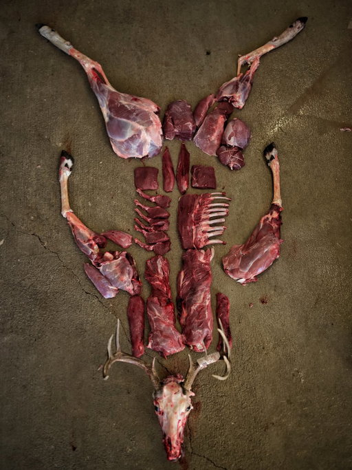 Food earned the hard way. Responsibility carried from the field to the freezer. No shortcuts, no distance from the work, and no pretending the process is clean or easy.

Doing it yourself slows you down. It builds respect, discipline, and gratitude. It reminds you that real food doesn’t come wrapped in plastic or divorced from consequence.

As @fromfieldtoplate puts it:

“Every cut earned, every muscle accounted for, every meal taken seriously. We do it ourselves because food should have a story, not just a label.”

This is conservation with skin in the game.

Photo: @fromfieldtoplate