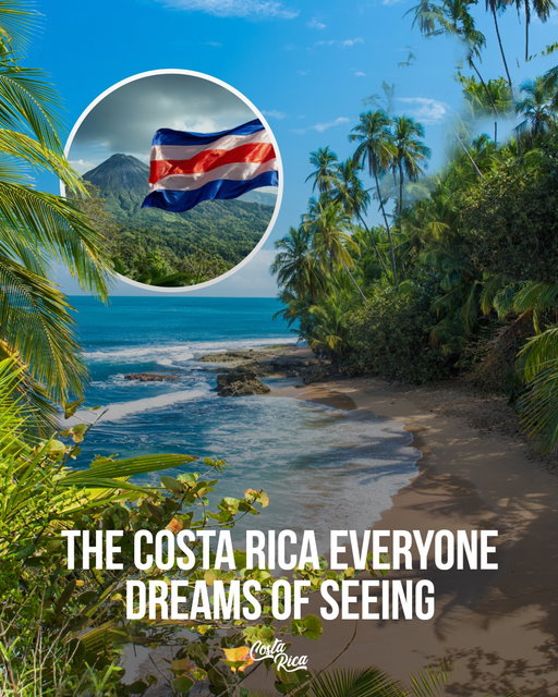 If paradise had an address, it would be Costa Rica 🌿✨

🐒 Arenal Volcano – dramatic volcano views, steamy hot springs, and jungle adventures
🌫️ Monteverde Cloud Forest –walking above the clouds through misty treetops
🏝️ Manuel Antonio National Park – tropical beaches, monkeys, and rainforest trails in one place
💙 Rio Celeste – a surreal blue waterfall that doesn’t look real
🐢 Tortuguero National Park – jungle canals, wildlife, and untouched nature vibes

Save this for later, tag your travel partner, and tell me which spot you’re visiting first 👇

📍 Costa Rica