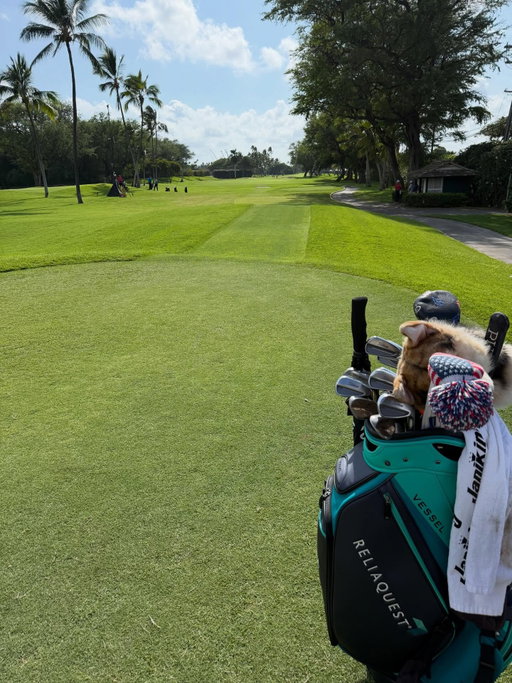 Year 3 @pgatour #letsgo
