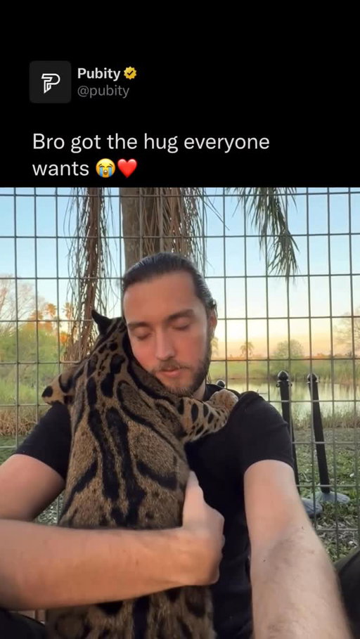 ❤️

Follow @fluffy for the best animal content on Instagram 🐈

Clouded leopards are stunning, incredibly rare big cats known for their unique “cloud-like” rosettes that make their fur so distinctive. 

They’re naturally solitary animals, so when they choose to show affection, it’s a big deal. Sadly, their wild populations are rapidly declining due to deforestation and poaching, which is why conservation and education work, like the efforts at Big Cat Habitat, is so important.

(🎥: @robert)

#wildlife