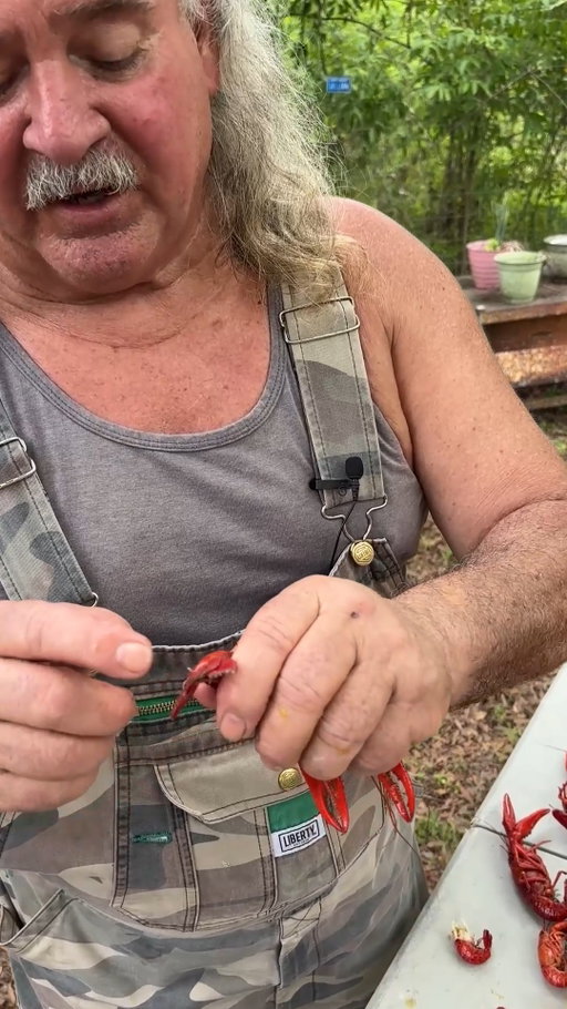 How to remove the crawfish string. We don't do this, but folks were asking. #crawfish #louisiana #reels