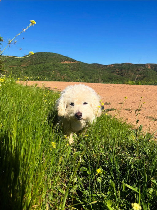 More green time less screen time ☀️