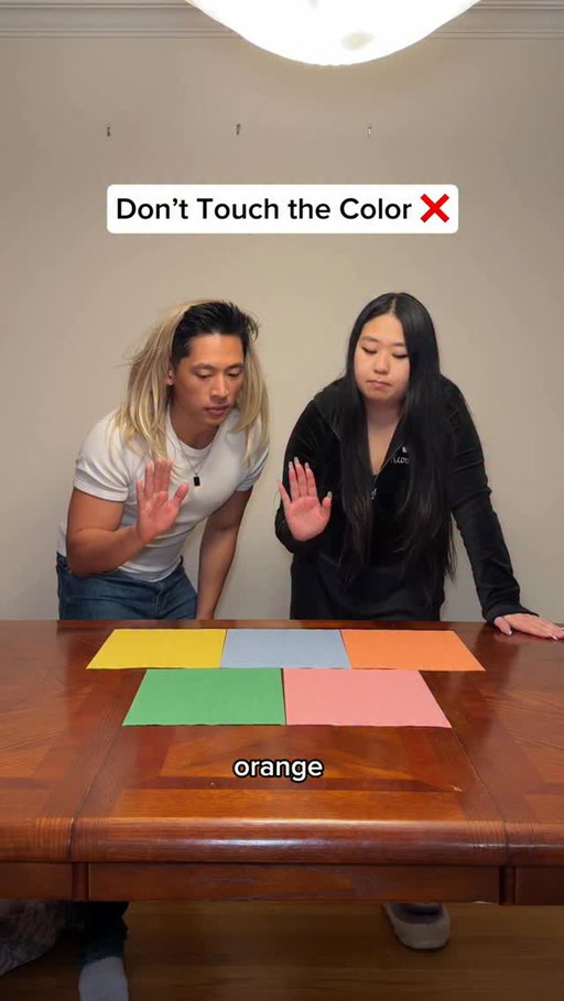 two toxic besties do a tiktok challenge 😂😭 #challenge #game #parody #donttouchthecolor #reels