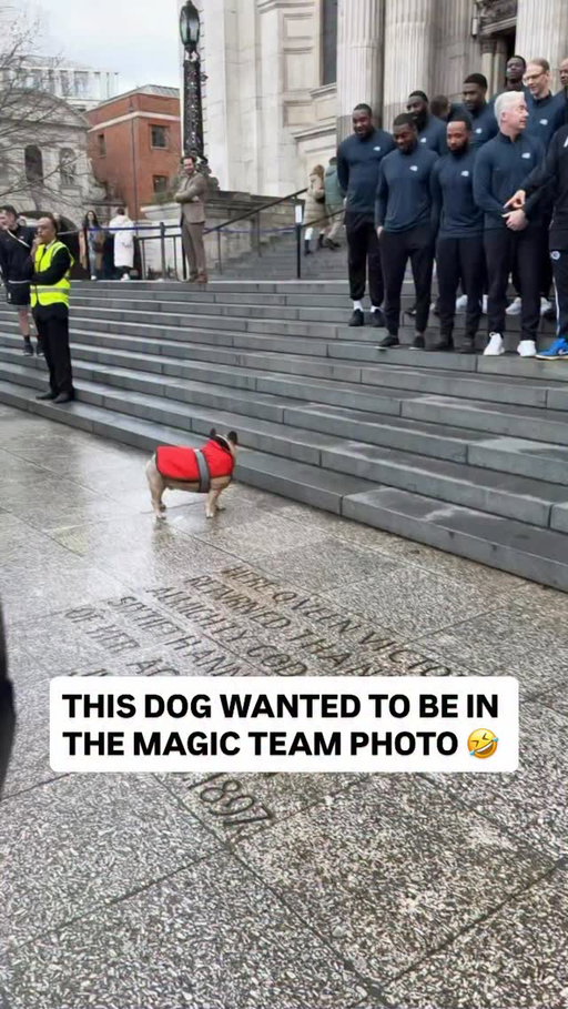 When a dog crashes the team photo 😂 The NBA London Game 2026 presented by Tissot is tomorrow at 12:00pm/et on Prime 🇬🇧