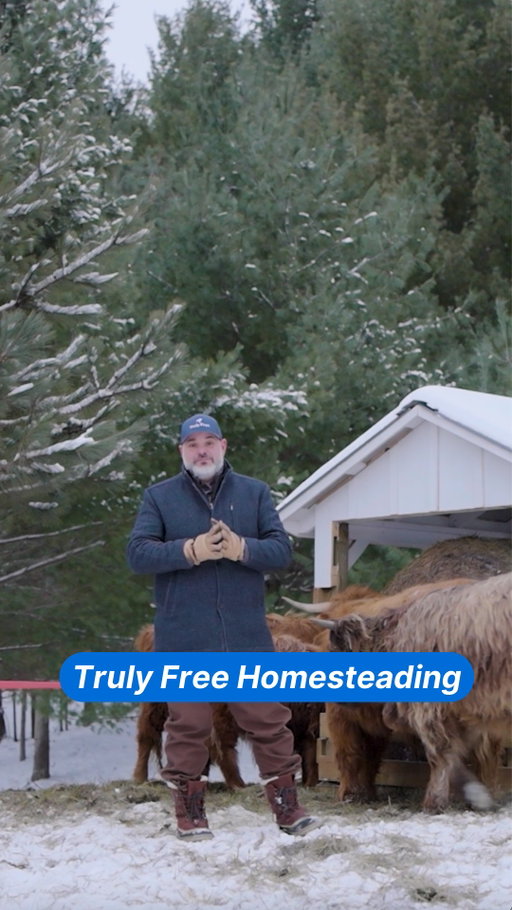 When you’re building a homestead, every choice matters.

Truly Free isn't just a marketplace. It’s a better way to build a healthier, more sustainable home—without the runaround.
I’m proud of what we’re building here, and I can’t wait for you to experience it.

#trulyfree #homesteading