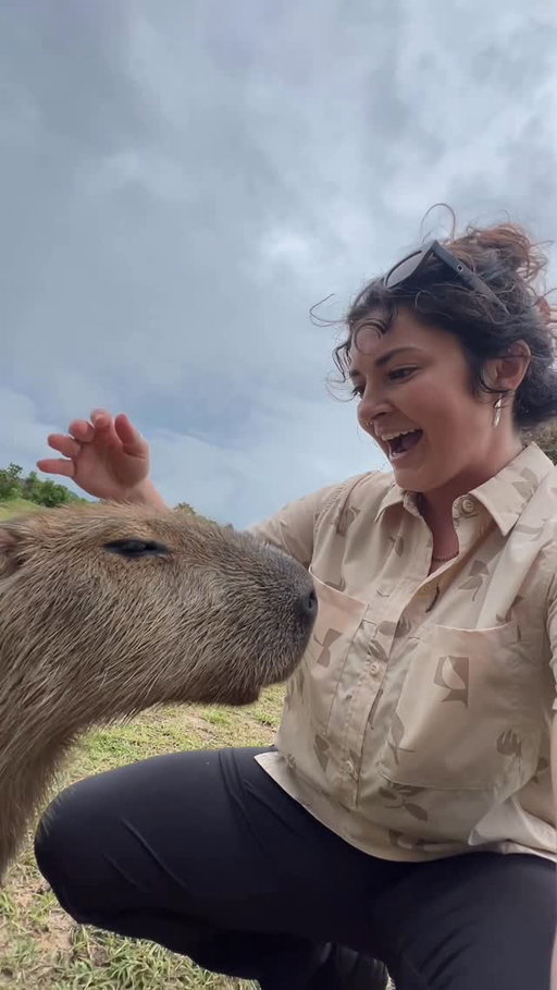 imagine a hamster that is like 75x the size snuggling into your bed at night 😂😂😂 📍Guyana, South America