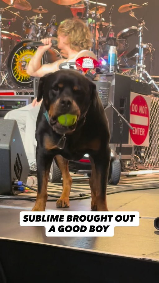 #Sublime brought out a good boy at #iHeartALT2026 🐕
