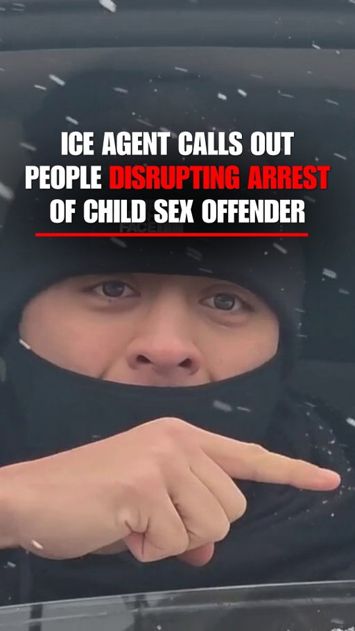 'INSANE': Viral video shows the moment an ICE agent speaks out to an alleged member of the press, as agitators honk their car horns while agents try to do their job and carry out an arrest.

"We're trying to arrest a child sex offender. That's who you guys are protecting."