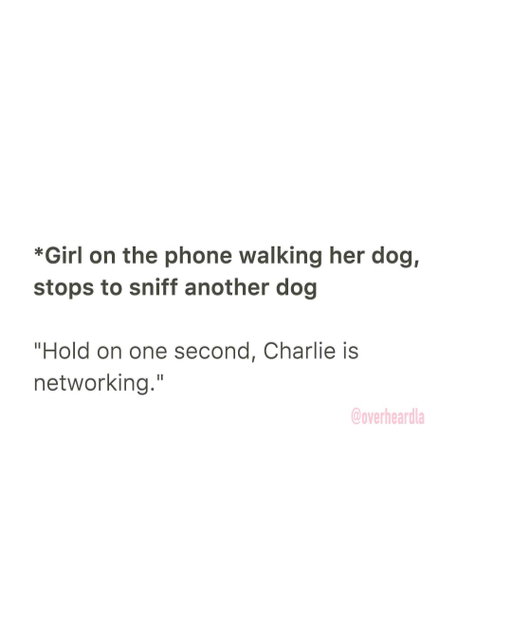 Brentwood. 🐕🐩
Overheard by @erica.eff 📥
#networkingevent #overheardla
