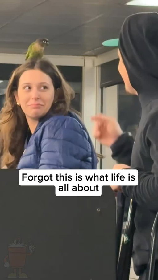 Everyone has a Waffle House core memory
-
🎥 @emmazeysing
