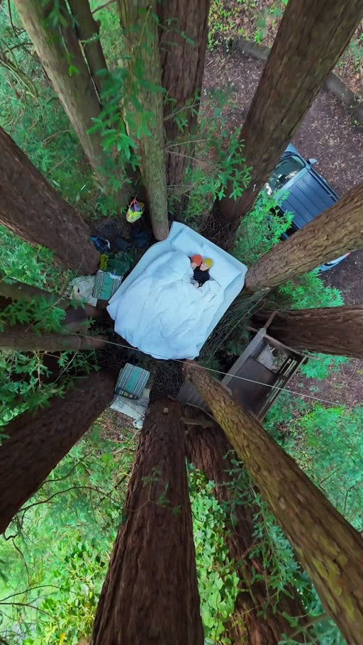 This healed me😴🫶🏕️🌲 

Here’s our recipe for an unplugged weekend getaway:
1. Booked this tree net campsite on @hipcamp 
2. Loaded up our mattress topper, pillows, and two comforters, into our jeep
3. Packed beanies, our books, the coziest fleece’s, hot cocoa kept HOT in our @fellowproducts thermos, tooth brushes, sunscreen, and hiking clothes (for the next day!)
4. Drove 45 minutes to the campsite, carried all bedding cautiously up multiple wooden ladders, decompressed with no screens under the string lights, slept like cozy little babies
5. Woke up with the birds, watched the sun rise in bed
6. Packed up the bedding and drove to Point Reyes station for coffee, breakfast, and a gorgeous 16 mile day hike to Alamere falls

All-in, all meals included, this 24 hour date was under $200 for two people and included multiple bougie meals. We could’ve done it for $120 if we were feeling scrappy, but the food in Point Reyes is sooo worth it. Reminder that you don’t have to spend thousands of dollars to have a cutie pie breathtaking weekend getaway! And Imk if you check out the tree net 😴🌲

 #fyp #travel #Outdoors #camping  #wlw