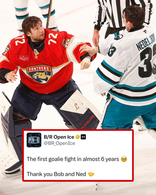 A whole new generation just witnessed the art of the goalie fight 🥲