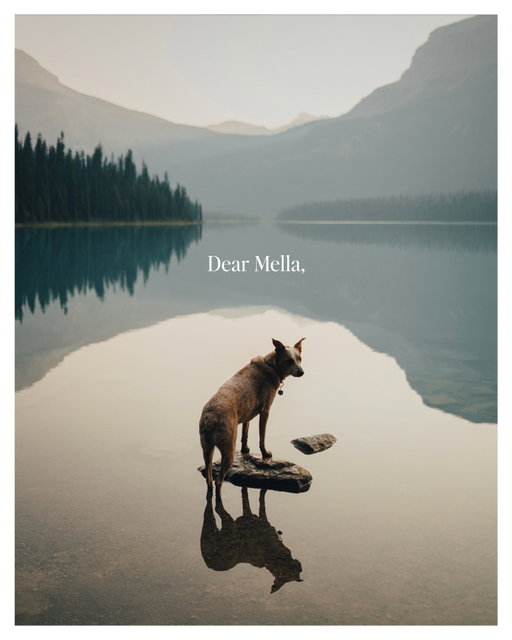 Dear Mella,

Sorry, it’s taken me a minute to gather my thoughts and reflect. Letting you go was the hardest thing I’ve ever had to do in my life. A piece of me died that day with you. What a light you were in my life and have now instilled a constant reminder to live more in the present. You taught me how to have grace and patience. I was 20 when we met, and we both grew together. 16 years together we lived in 6 states, traveled countless cities, countries, in planes, trains, boats, canoes, you name it, we did it. You were there when I was broke and couldn’t afford dog food, so we shared peanut butter sandwiches together. You didn’t care as long as we had each other. You humbled me and always reminded me to stay grounded.   Time doesn’t seem to rush, life does.  I was recently reminded that the years fly by, the days seem long, but not to forget what’s in between. That hit me like a ton of bricks. You saw me grow into the person I am today, build my career, find my lovely wife @chelstache, and your brother Maui as we started our own family. We were one. Reflecting on all the moments we had and years we shared together, I can only see joy. Joy that carried me through the good and bad times. Joy that has blessed my friends and family with your presence. And damnit, I’d be lying if I said it’s been “normal” trying to move on. Though I’m completely heartbroken, your light will always stay with me. Even though your pain ends, ours begins, and I’m ok with that because you made every second count in life. This chapter comes to an end, but a new one begins. Be free and young again, sweet girl. I’ll see you on the other side. Miss you always.

Love you,

Dad