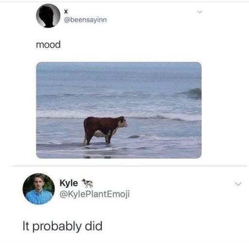 Classic 🐮