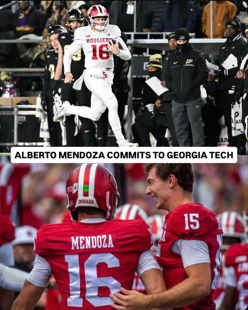 @indianafootball backup QB @a_.mendoza15 is headed to Georgia Tech 🐝