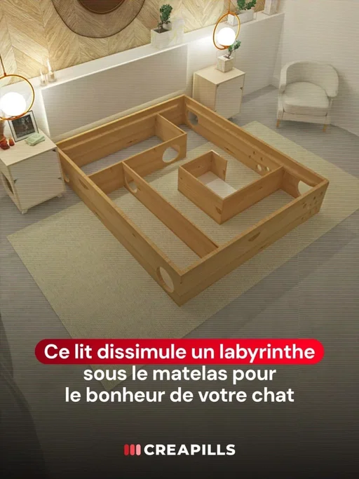 Ce lit intègre un labyrinthe pour votre chat dans sa structure

Sous le matelas, un passage secret réservé au chat. Imaginé par Catlife, ce lit cache un véritable labyrinthe intégré à sa structure, pensé comme une tanière discrète où l’animal peut jouer, se cacher ou dormir à l’abri.

Une idée aussi simple que maligne, qui transforme un meuble du quotidien en espace de vie pour le chat, sans sacrifier le design ni l’harmonie de la chambre.