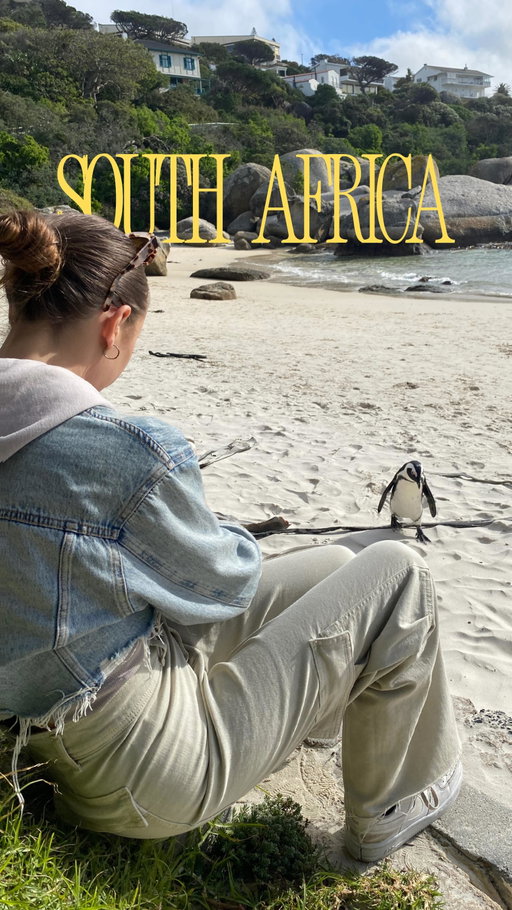 everything you need to know 👇🏼

📍Boulders Beach - Cape Town, South Africa 🇿🇦

This beach is open to the public in Cape Town, South Africa. You pay entry and can access the beach via the footpath overlook. You can also go to neighbouring beaches for free where some of the penguins will hang out on the beach next to the public! 

But be sure to give them plenty of space for all wildlife, do not touch or feed them and leave no trace 🤍🐧

Follow @ellelovestravel for more Cape Town and South Africa travel!

#peguins #bouldersbeach #boulderbeachpenguins #bouldersbeach #capetown #southafrica #capetowntravel #capetowntravelguide #southafricatravel #galswhotravel #travelphotography #travelblogger