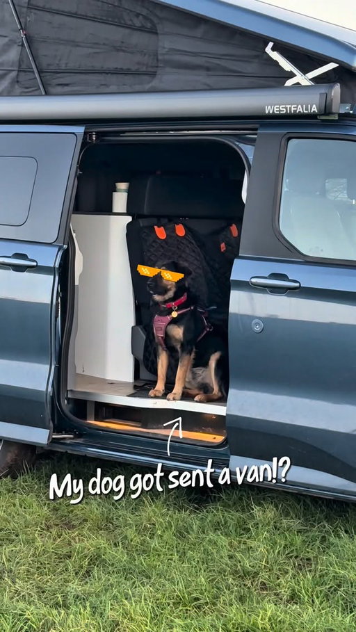 How lucky is Paddington!? We are so excited to have partnered with @forduk for this incredible adventure! ✨🚐✨ Ford has generously lent us their amazing Ford Nugget campervan for the next six months, making it so much easier for Paddington and me to travel and have some fun long distance adventures! 

This was his first ever camp! He had a great time, especially in the pop top 😂. Can’t wait to take you all along with us to show Paddington new parts of the world he’s never seen! Let me know where you think I should take him! 

#dogdistributionsystem #rescuedog #dogfriendlytravel #AD
