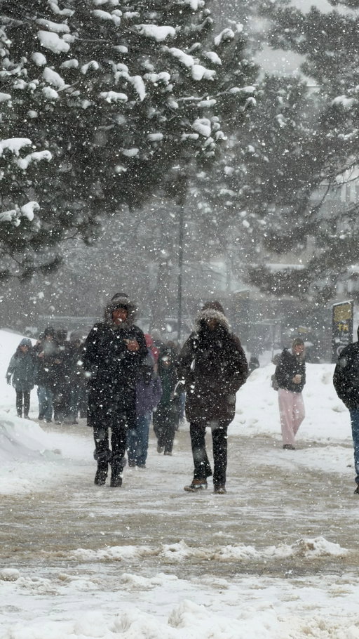 It’s a Winter(loo) Wonderland out there. ❄️ ❄️ ❄️ 

#UWaterloo