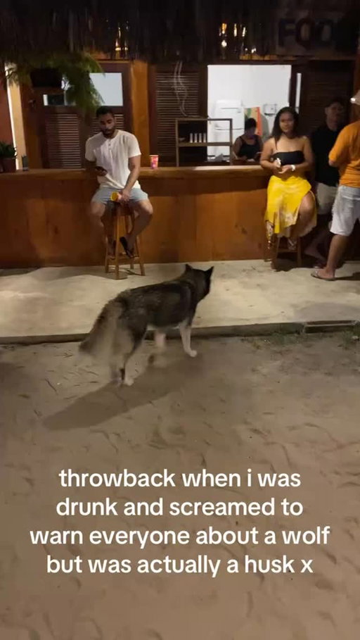 The Boy Who Cried Wolf (2025)