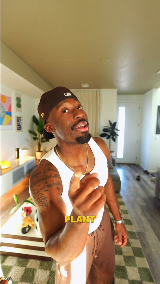 Low maintenance house plants you’ve gotta be a serial killer to unalive. 

#lowmaintenanceplants #zzplant #snakeplant #minimonstera #birdofparadise