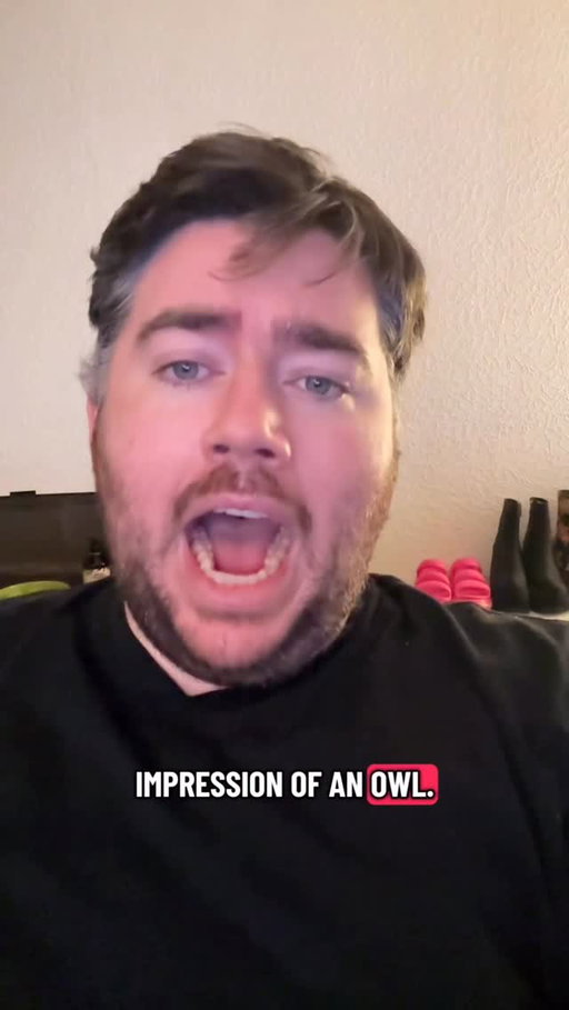 This is my impression of a scouse owl. Thank you.

@kevofinn 

#owlimpression #iykyk #trending