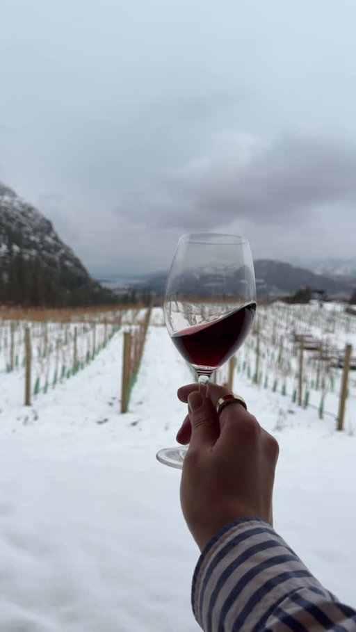 Winter weekends at the Ranch = tastings, views, and the kind of cozy you can't get from your couch.

Yes, we're open. Yes, it's beautiful. Yes, you should bring your friends and make a day of it.

Book your tasting, explore the winery, and leave with more wine than you planned. (We won't judge.)

See Ya Later Ranch, BC Wine, Okanagan Wine, Winery Life, Winter Weekend, BC Winery, Wine Tasting, Local Wine, Okanagan Life

#SeeYaLaterRanch #BCWine #OkanaganWine #WineryLife #WinterWeekend #BCWinery #WineTasting #LocalWine #OkanaganLife
