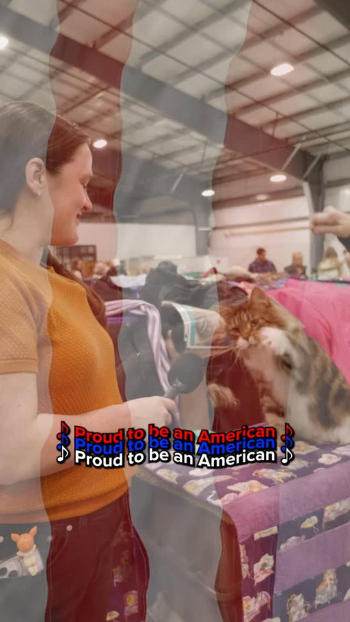 AMERICA 🐱🇺🇸 Full video on my YouTube linked in bio

#AmberAutryComedy #mainecoon #catshow #mainecooncat #standupcomedian