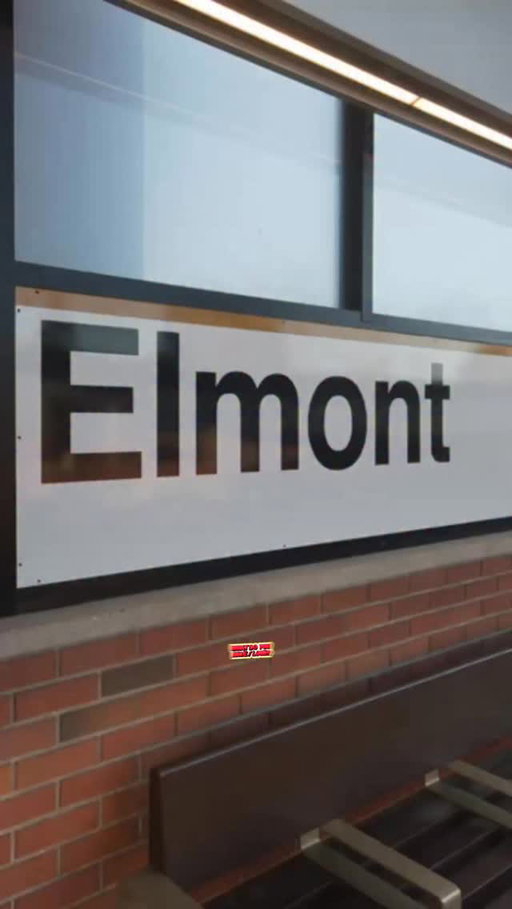 Elmont, Long Island - what did you love? What did you hate? #elmont #nassaucounty #longisland #elmontny #discoverlongisland @chrismontylive