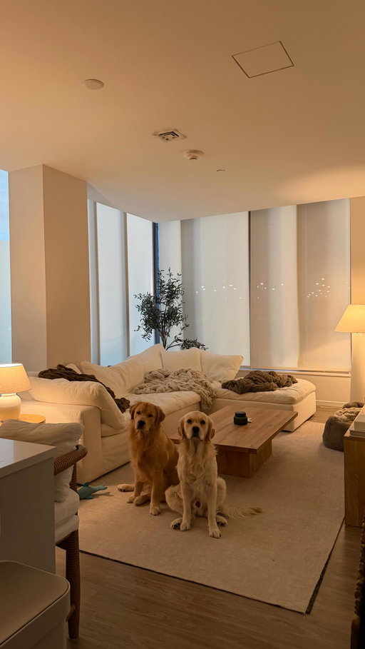 I wish I knew this existed SO much sooner, @wag allows you to compare pet insurance plans so you can be confident you’re getting the best value and coverage for your pets #ad #dogsoftiktok #dogmom