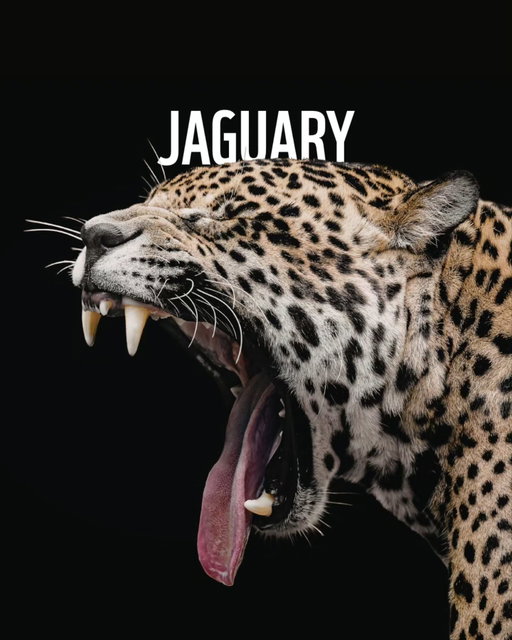 Which animal are you? Tag yourself!
