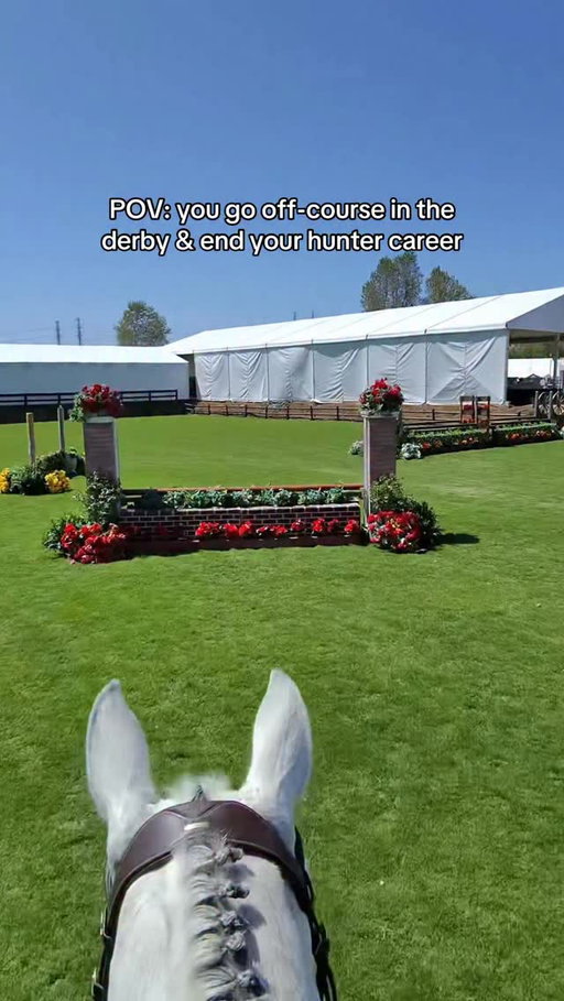 the worst part is, I went over which fence 2 was the right one multiple times before walking in and I STILL jumped the wrong one 😭 

at least he kept his left lead and jumped these beautifully!
another derby entry fee down the drain and I was very upset about this one 😤

this is not the first time I’ve gone off course in the hunters & I’m embarrassed but also I’m just a jumper girlie who’s used to seeing numbers on the fences!! Idk if I’m cut out for this 😂

the bright side is that this will likely never happen again! 

mistakes happen. oopsies happen. we live we learn and life trots on 🤎

#equestrian #horseriding #horsejumping #horsegirl #hunterjumper