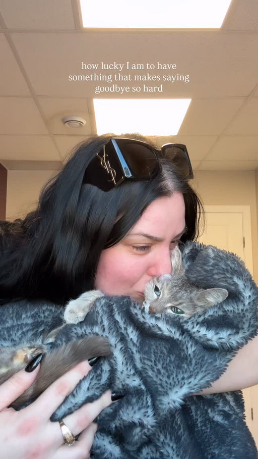 Alexa play I’m not okay by MCR 

#cat #cats #kitty #animal