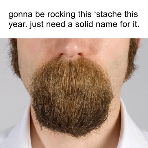 What do you think this stache should be called?
