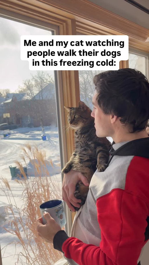 Setting the thermostat to the max 🥶

IB: @ciscoscats 

Follow for more funny videos! #catmeme #catownerlife #catowners