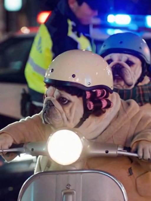 為了載破病的勇伯去看陳獸醫而被開單，衰嘎
Unlucky day vibes police stop, instant ticket.
#pet #dog #vespa