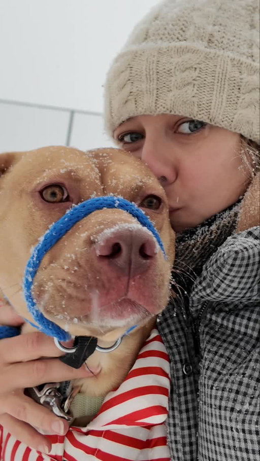 Happy Snow day everyone! ❄️ 
❄️☃️🍧🌨️❄️❄️❄️❄️❄️❄️
❄️
❄️
❄️
❄️
❄️

#Snowstorm #dog #newyorkcity