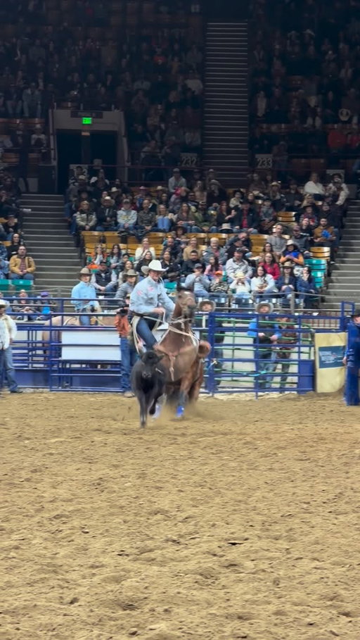 The fastest tie down roping run of the National Western! 🔥🔥 
The San Angelo, TX cowboy Dylan Hancock put together a quick 7.1 second run to earn the number one spot and the champion title in Denver!