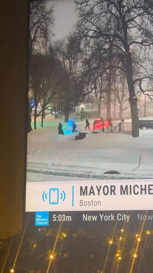 Meanwhile, on Boston Common 😂

📹: @ninaames