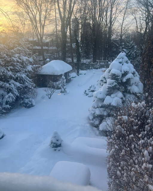 Incredible snow fall last night