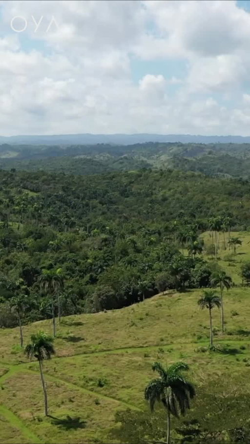 𝗬𝗼𝘂𝗿 𝗡𝗮𝘁𝘂𝗿𝗲 𝗣𝗹𝗮𝘆𝗴𝗿𝗼𝘂𝗻𝗱

Explore the land, wander the gardens, follow jungle paths… and gather in spaces designed for deep presence.

OYA is more than a stay—it’s a living landscape for retreats, ceremonies, movement, and reconnection with Earth. 🌱
A place where nature holds the container.

Save this space for your next retreat or nature escape.

#RetreatInNature #SacredLand #JamaoAlNorte #EcoLuxuryTravel #WellnessRetreat
