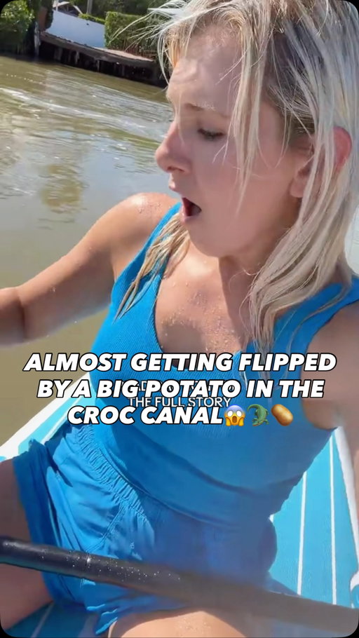 I was paddleboarding in the croc canal (there’s a resident croc in here)🐊 on a VERY murky day, and thought I had eyes on all the big potatoes. There were NONE in front of me, and suddenly, this one came up for a breath at this EXACT moment. He was not there until I pointed the camera that direction. I always have my eyes spinning in all directions even when I am recording to the side (you probably know why).

I stayed still and calm, knowing if I put my paddle in to move away suddently, it would have scared him even more. 

Unfortunately, he didn’t see me when he came up, and there was NO way for me to see him as he did not appear until he was AT the surface. 

The reason my foot is in the water was because I needed to lean to that side to avoid completely flipping. Also, it did spray the canal water IN my mouth.🤢

I felt so bad for the potato, but the big potato completely ok, and I’m ok! We just spooked each other 😅 This is the first time this has ever happened to me in all my years paddleboarding, and I swear this exact one has been following me around in here the past few days trying to flip me again honestly 😂 (He unfortunately has a small boat strike on his back, so I can tell him apart from the others). We call him Flip now!🩵🥔

This was a day when there were SO many big potatoes in the canal and I was passing through to get to the ocean. But thankfully, it wasn’t the crocodile coming up from the depths to surprise me 😅🐊 

Follow along to see when I find the crocodile! 👀🐊 or more big potatoes, or dolphins, or sharks!!🩵🥔🐬🦈

#crocodile #manatee #ocean #paddleboard #florida