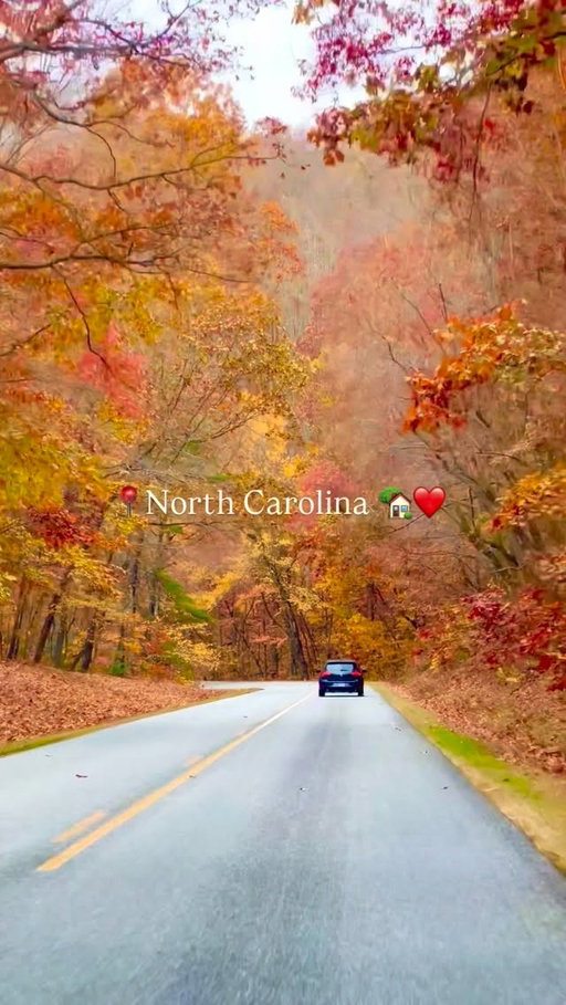 Home ❤️

Comment below if you recognize any of these spots and your favorite places to visit in NC! 🥰👇 
 

My name is @jensensavannah 👋 I’m a born and raised NC local who loves to share the gems we have in our state, so follow along and let’s explore the Carolinas together 🥰

#visitnc #northcarolina #ncmountains #raleigh #wilmington #charlottenc #westernnc #ncbucketlist #ncbeaches
